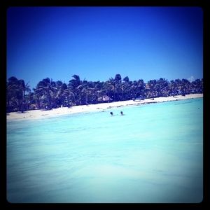 Please help me grow. I'm late to the posh party.